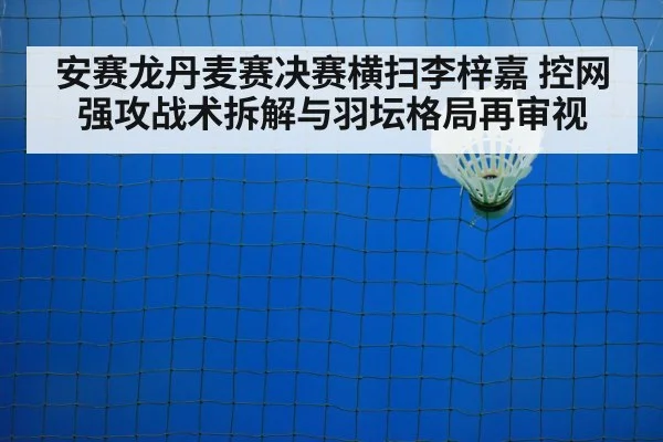 badminton net play