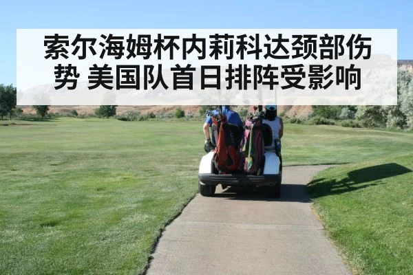 索尔海姆杯内莉科达颈部伤势 美国队首日排阵受影响